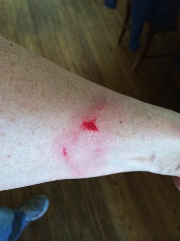 post-10322-0-55778800-1401182939_thumb.j