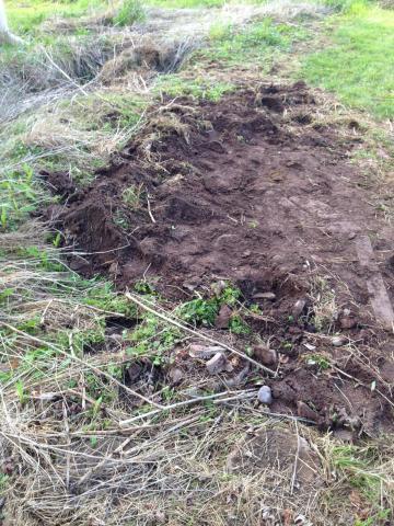 post-1339-0-18541000-1401147519_thumb.jp