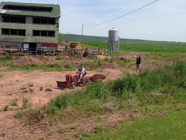 post-1339-0-50728400-1401148408_thumb.jp