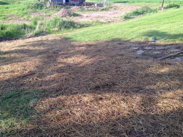 post-1339-0-53459400-1401148922_thumb.jp