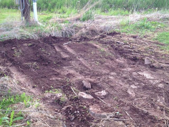 post-1339-0-59628100-1401147597_thumb.jp