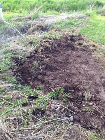 post-1339-0-71978000-1401147404_thumb.jp