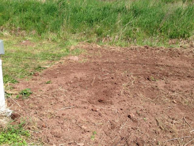 post-1339-0-86527600-1401147941_thumb.jp