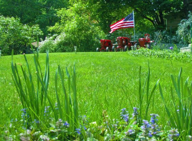 post-3498-0-45170200-1401208679_thumb.jp