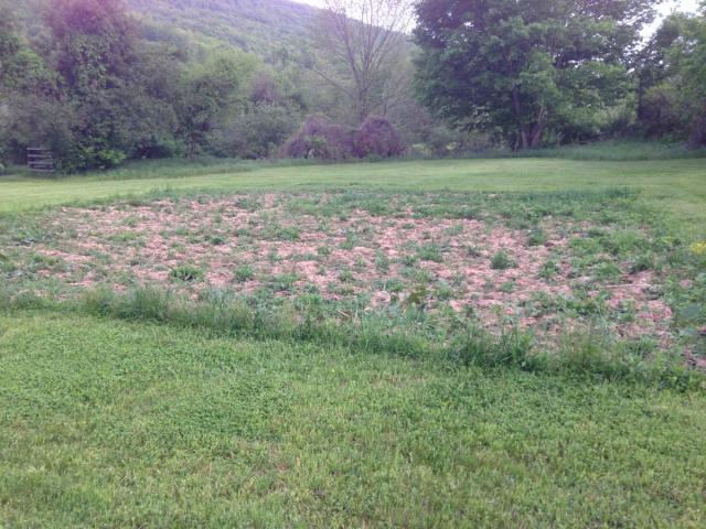 post-6085-0-17550400-1400175335_thumb.jp