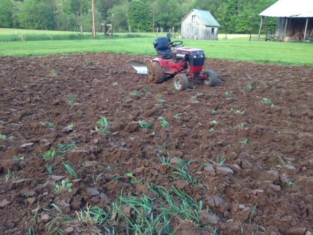 post-6085-0-57991700-1400031046_thumb.jp