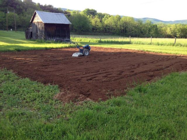 post-6085-0-61774200-1400602638_thumb.jp