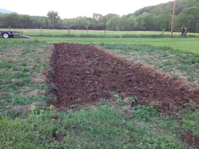 post-6085-0-64579800-1400030897_thumb.jp