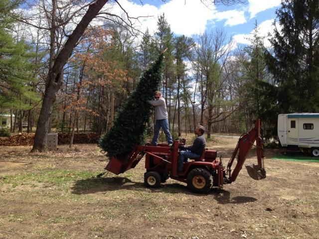 post-12798-0-60457200-1431267162_thumb.j