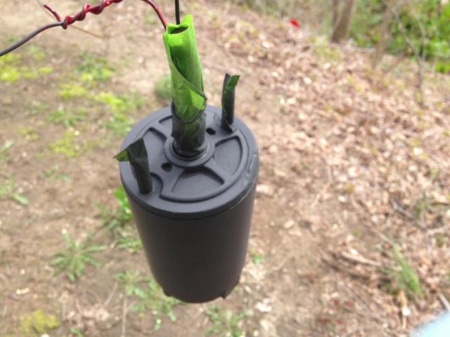 post-12915-0-44974500-1430735811_thumb.j