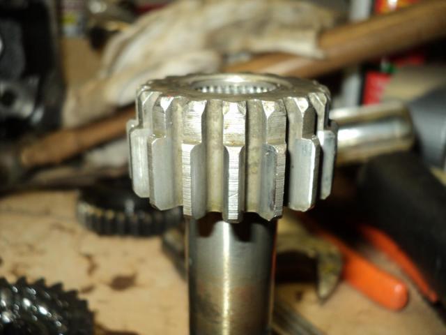 post-4335-0-85622700-1430935437_thumb.jp