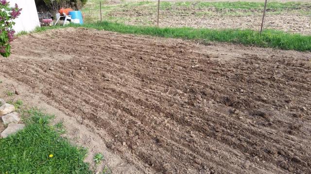 post-5643-0-82756500-1430956929_thumb.jp