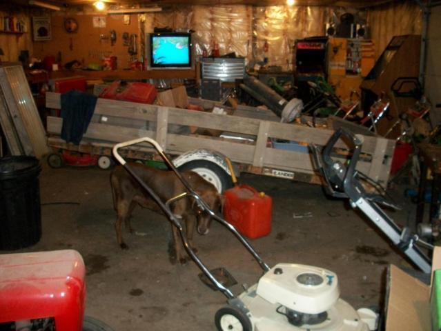 post-2337-0-44536900-1340209535_thumb.jp