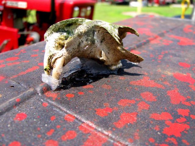 post-3498-0-03152400-1340463646_thumb.jp