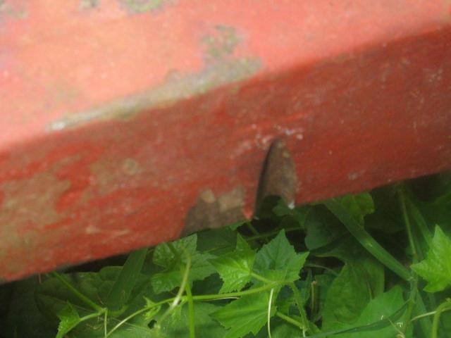 post-7408-0-43274300-1340394704_thumb.jp