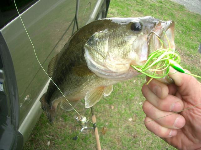 post-3498-0-74223000-1371346058_thumb.jp