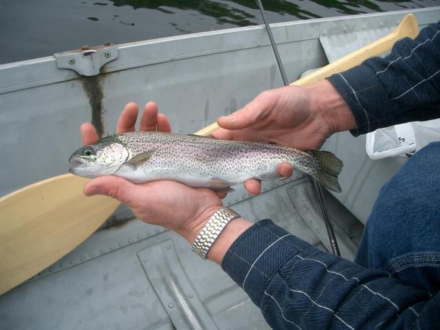 post-3498-0-89440600-1371346134_thumb.jp