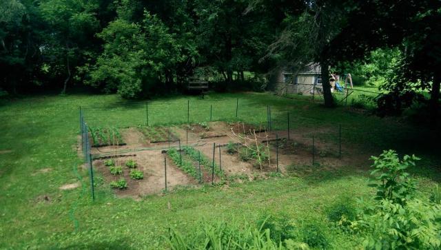 post-12245-0-79369100-1404009621_thumb.j