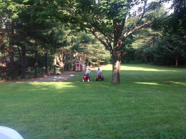 post-2119-0-95926100-1403086422_thumb.jp