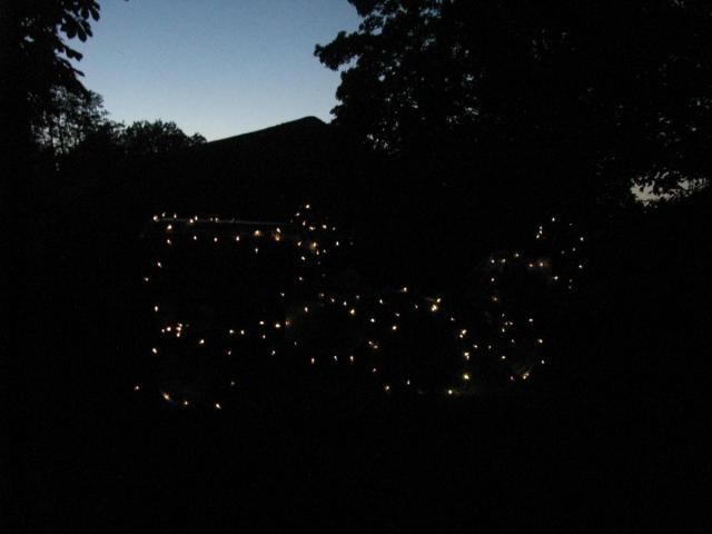 post-3498-0-73169700-1401672438_thumb.jp