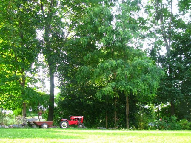 post-3498-0-85250300-1404124064_thumb.jp