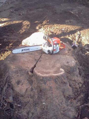 post-3434-0-76531400-1342155015_thumb.jp