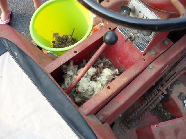 post-5864-0-10308800-1341887525_thumb.jp