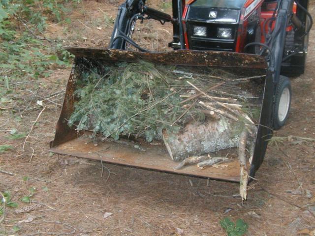 post-4541-0-94487200-1405989689_thumb.jp