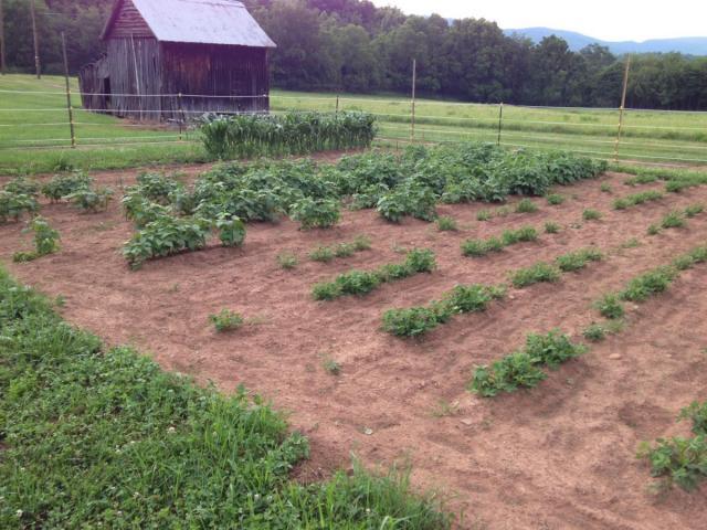 post-6085-0-00732700-1404958991_thumb.jp