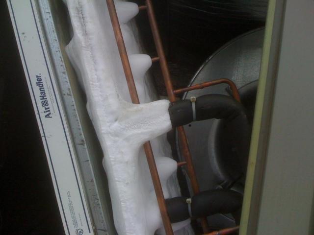 post-2380-0-22286700-1344983618_thumb.jp