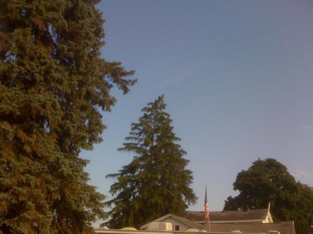 post-2380-0-84906500-1344690667_thumb.jp