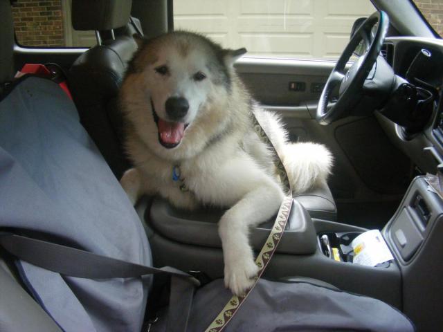 post-3066-0-99189700-1345220856_thumb.jp