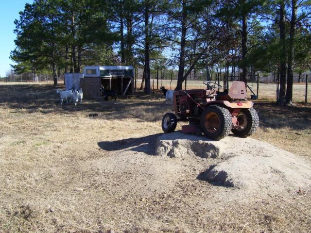 post-4393-0-21426700-1344474702_thumb.jp