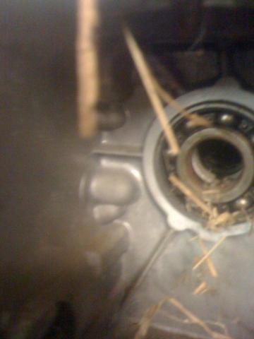 post-5271-0-94399200-1344734725_thumb.jp