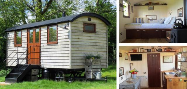 post-2119-0-20785000-1376206060_thumb.jp