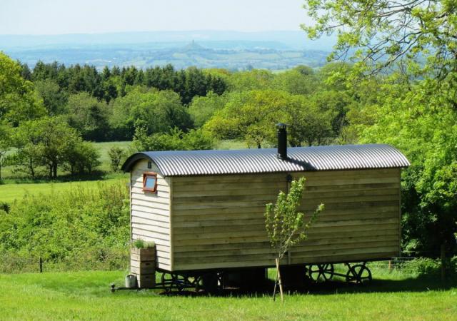 post-2119-0-56998300-1376237224_thumb.jp