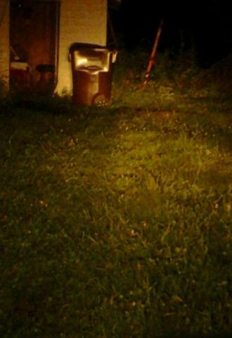 post-12671-0-00991400-1408932511_thumb.j