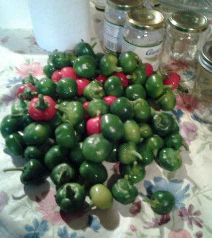 post-12671-0-22520900-1407158431_thumb.j