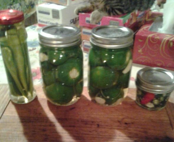 post-12671-0-53954800-1409370245_thumb.j