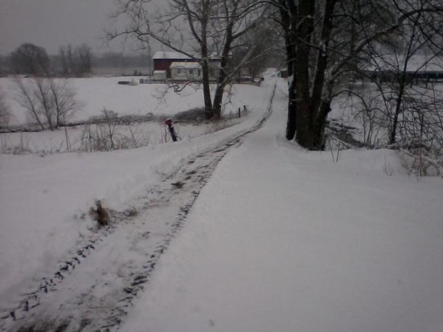 post-12671-0-75441100-1407694873_thumb.j