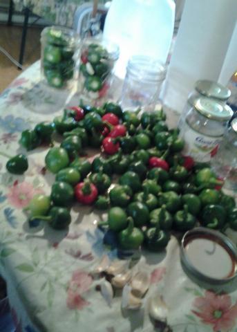 post-12671-0-81515300-1407158451_thumb.j