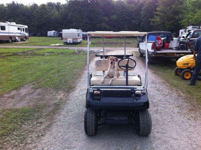 post-2380-0-02722200-1407461923_thumb.jp