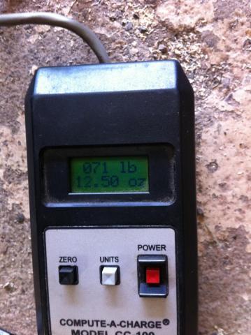 post-2380-0-12263600-1409508302_thumb.jp