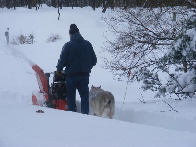 post-3066-0-25707400-1407852420_thumb.jp