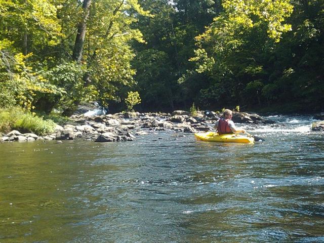 post-3498-0-53777500-1409436725_thumb.jp