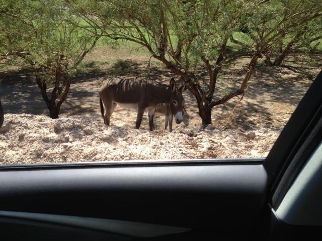 post-4321-0-08108800-1407601332_thumb.jp