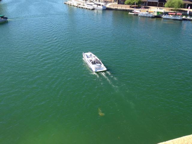 post-4321-0-34127000-1407599175_thumb.jp