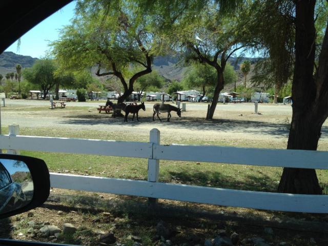 post-4321-0-42402300-1407601301_thumb.jp