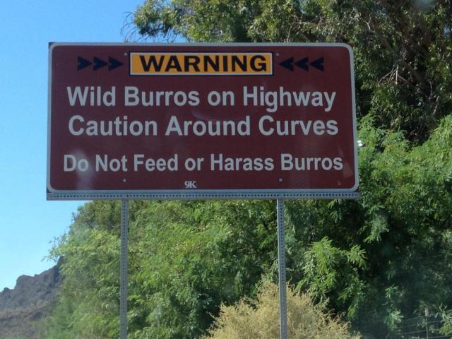 post-4321-0-43178800-1407601284_thumb.jp