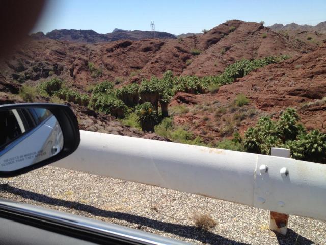 post-4321-0-50581500-1407601960_thumb.jp